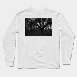 Dark Forest Long Sleeve T-Shirt